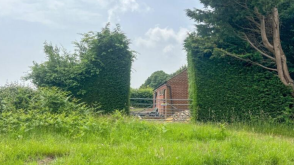 Plot for sale in Hooe photo